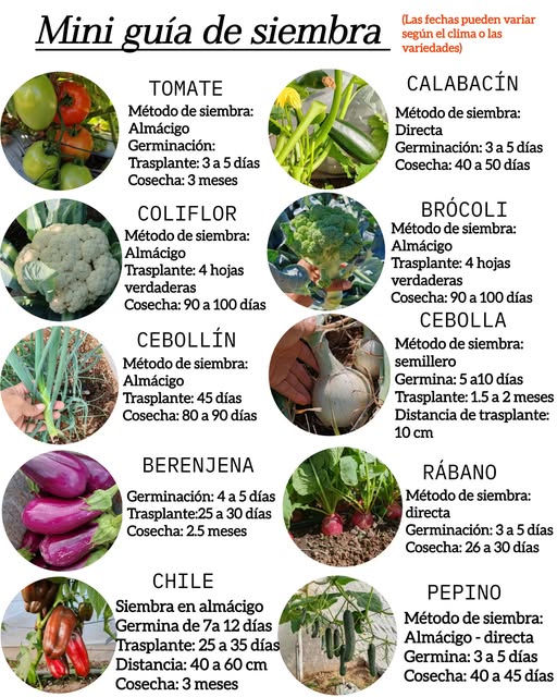 Tips de siembra